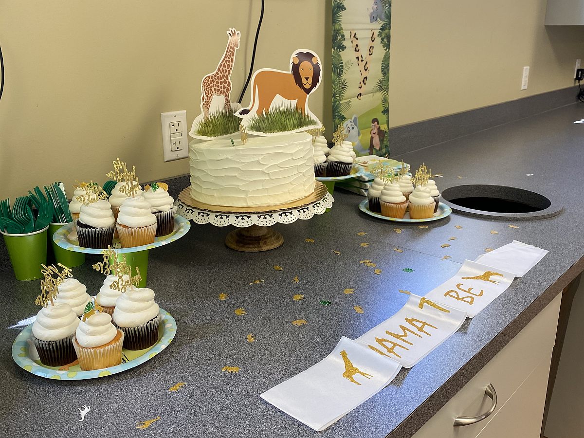 SAFARI CAKE