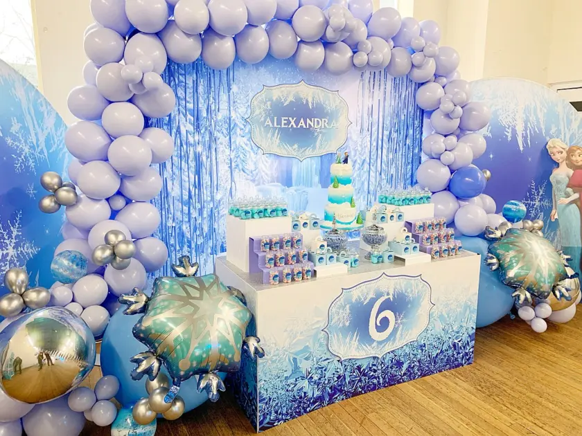 frozen birthday party planners