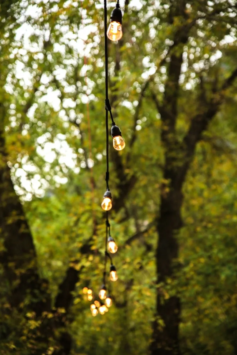 Birthday Party Light Decoration With Bulb String Lights