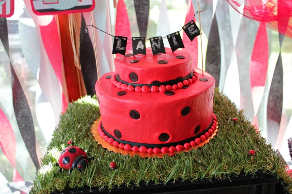 Ladybug Cake Decorations