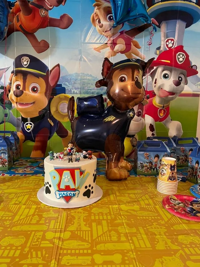 Paw Patrol Birthday Decorations Cake And Banner