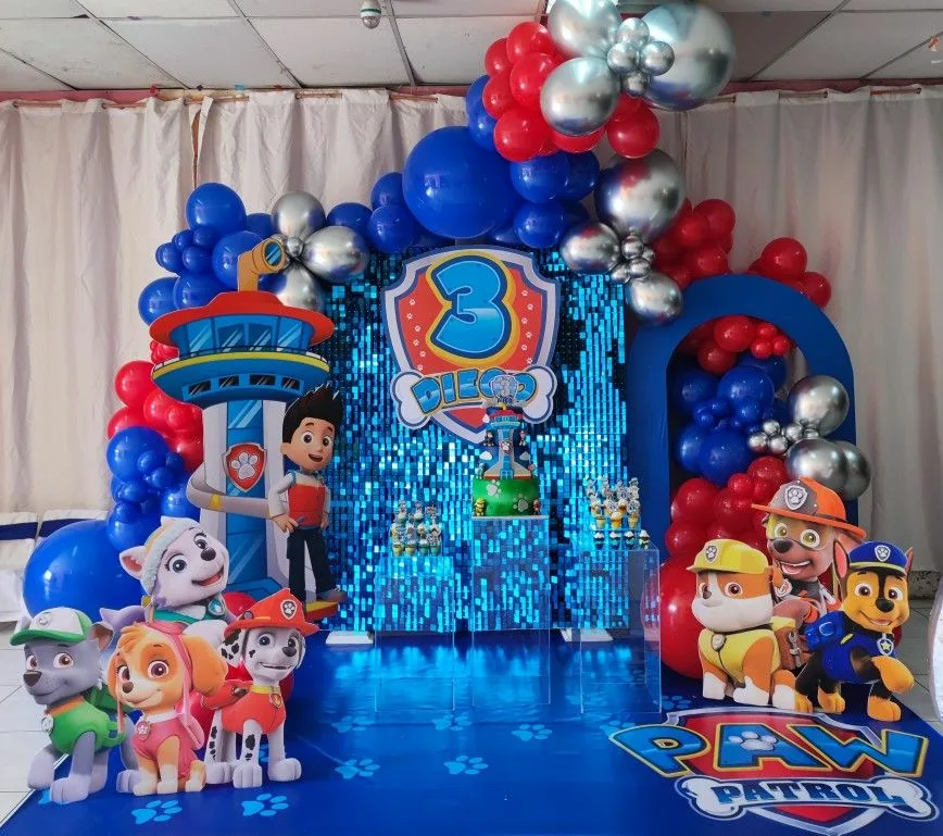 Paw Patrol Birthday Decorations Metallic Blue Backdrop And Characters Standee